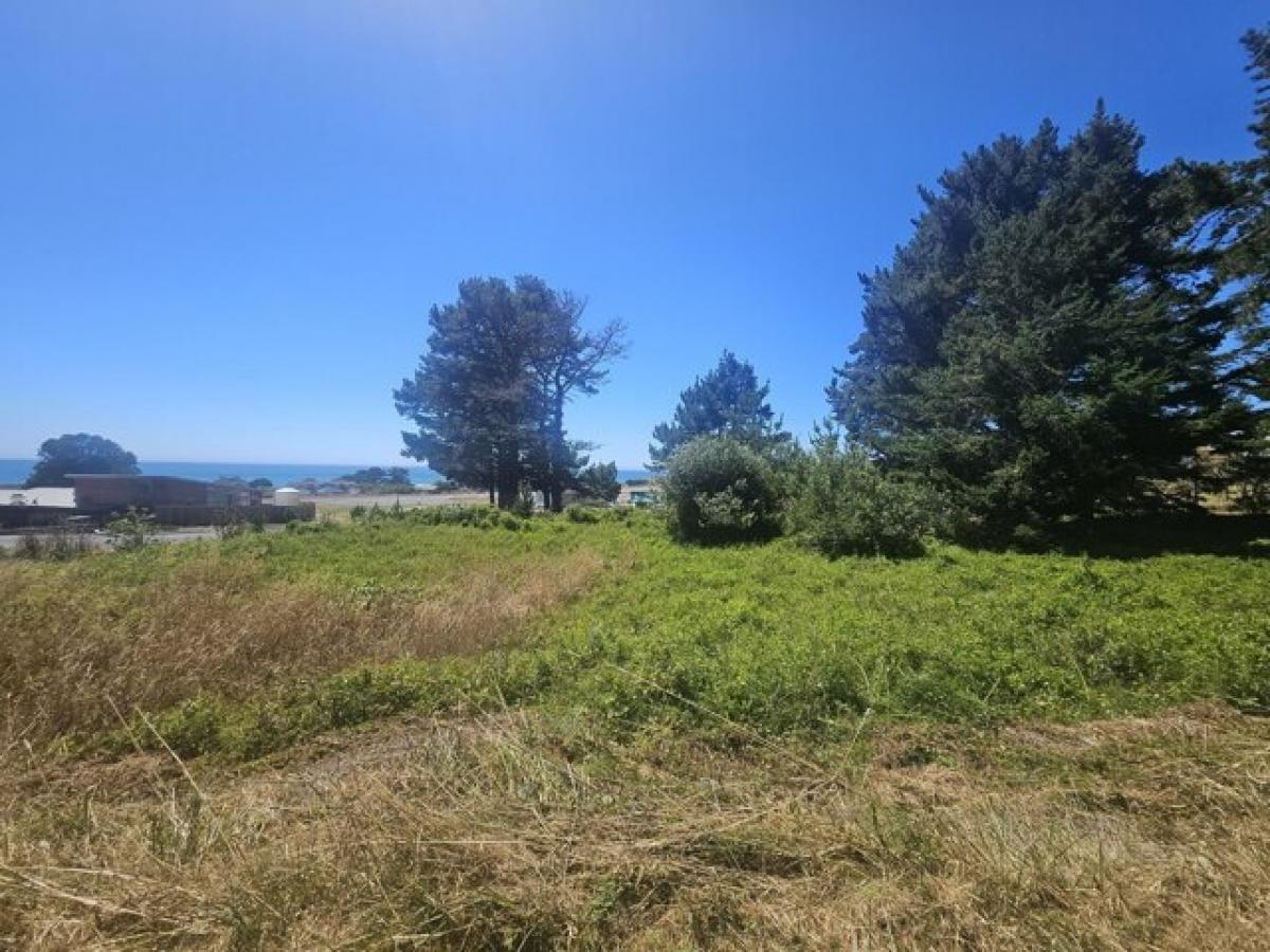 Picture of Residential Land For Sale in Whitethorn, California, United States