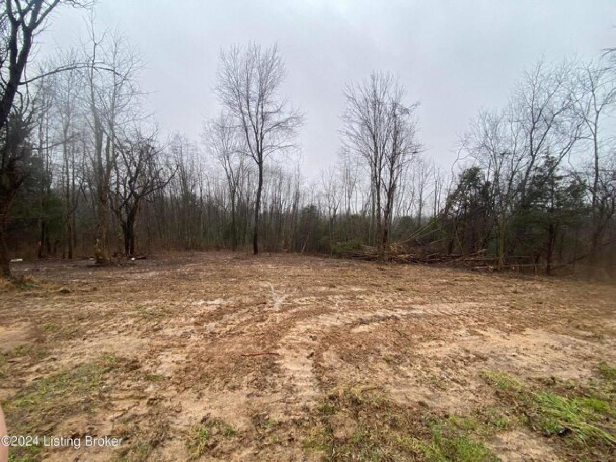 Picture of Residential Land For Sale in Taylorsville, Kentucky, United States