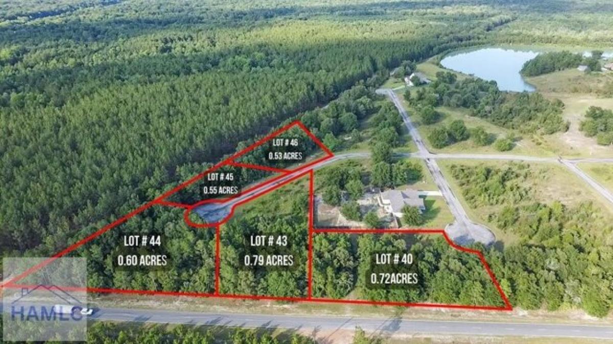 Picture of Residential Land For Sale in Jesup, Georgia, United States