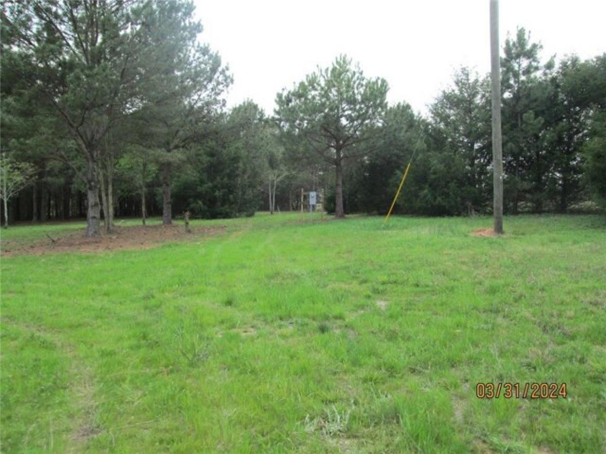 Picture of Residential Land For Sale in Canon, Georgia, United States