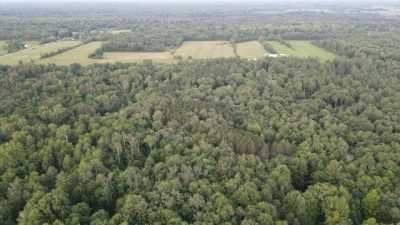 Residential Land For Sale in Beaverton, Michigan