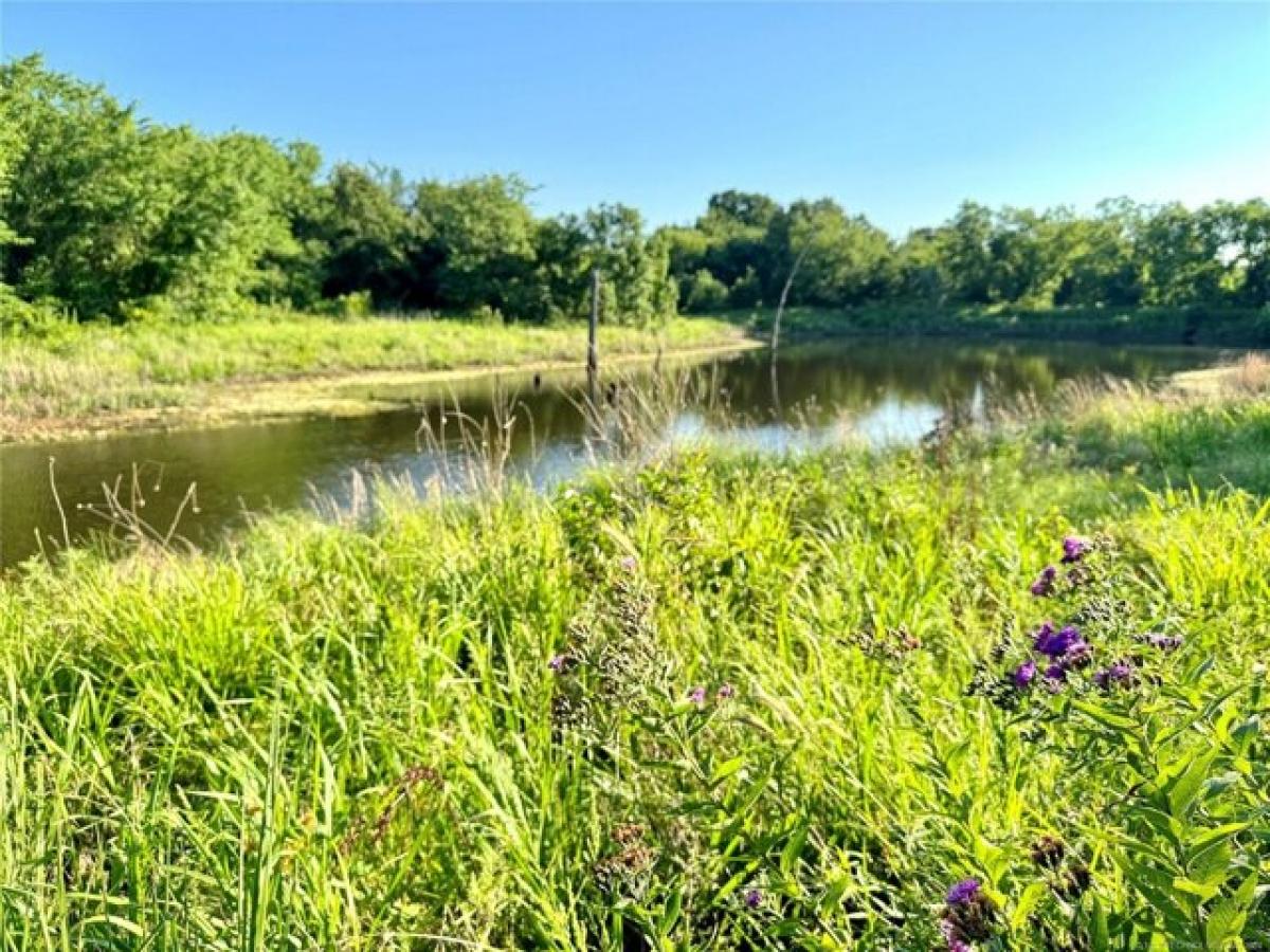 Picture of Residential Land For Sale in Wilson, Oklahoma, United States