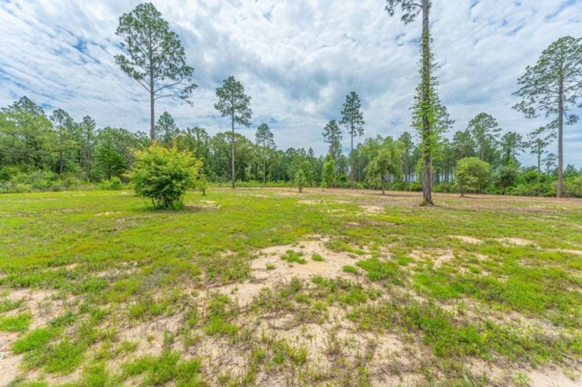 Picture of Residential Land For Sale in Laurel Hill, Florida, United States