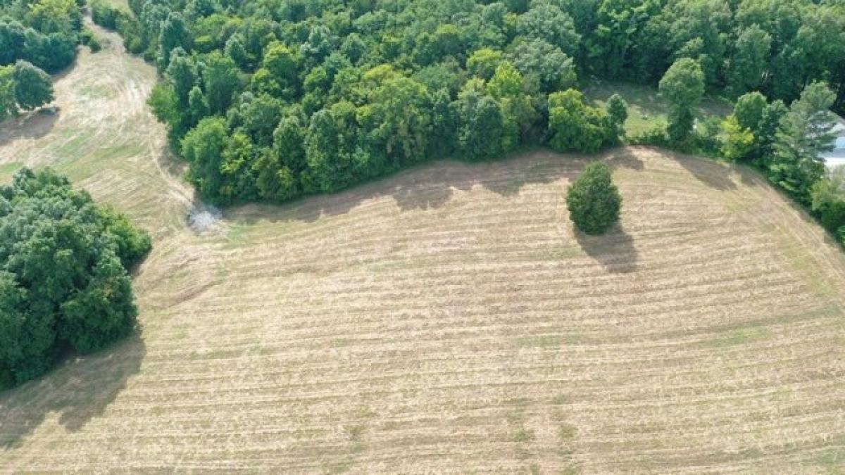 Picture of Residential Land For Sale in Cornersville, Tennessee, United States