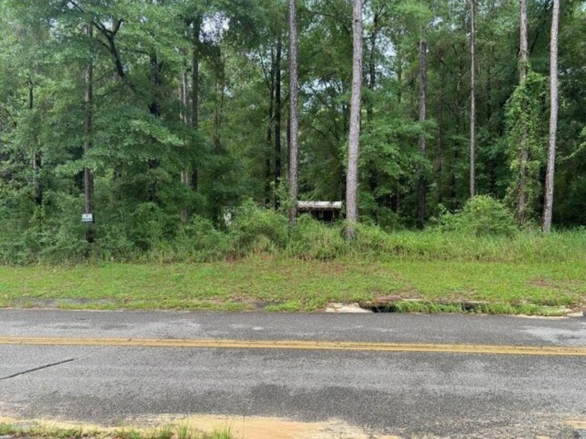 Picture of Residential Land For Sale in Eight Mile, Alabama, United States