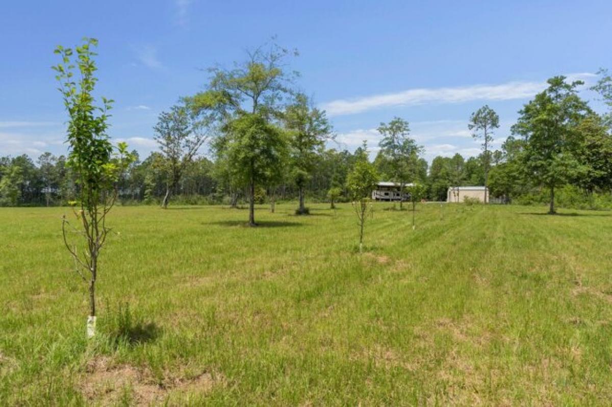 Picture of Residential Land For Sale in Laurel Hill, Florida, United States