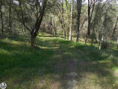 Residential Land For Sale in Sonora, California