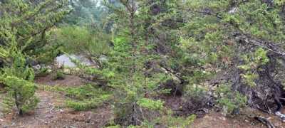 Residential Land For Sale in Gualala, California