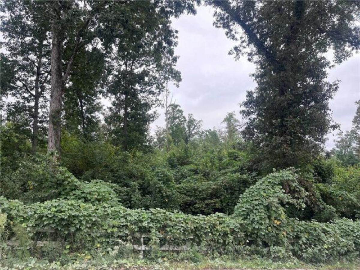 Picture of Residential Land For Sale in Fair Play, South Carolina, United States