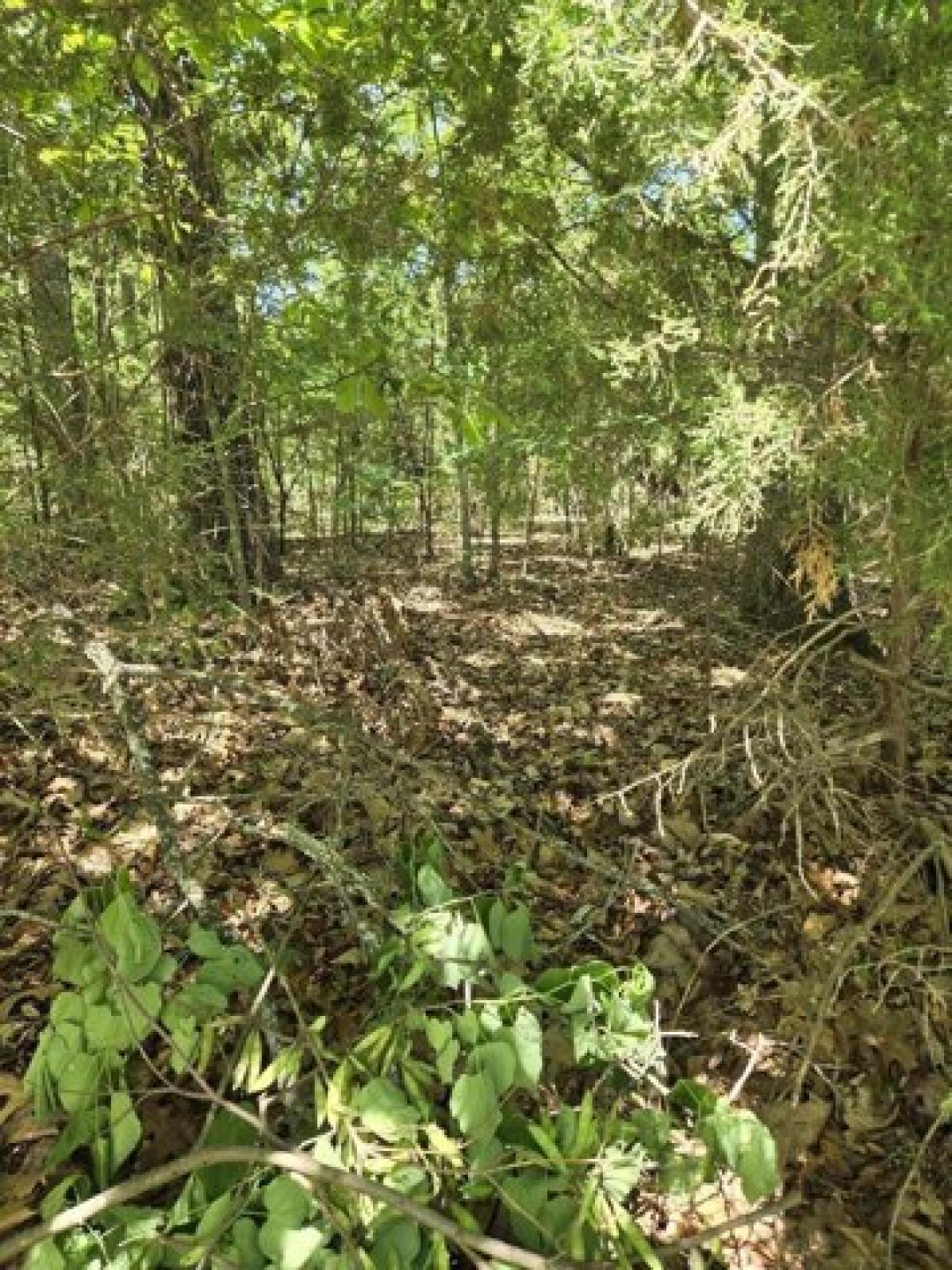 Picture of Residential Land For Sale in Branson West, Missouri, United States