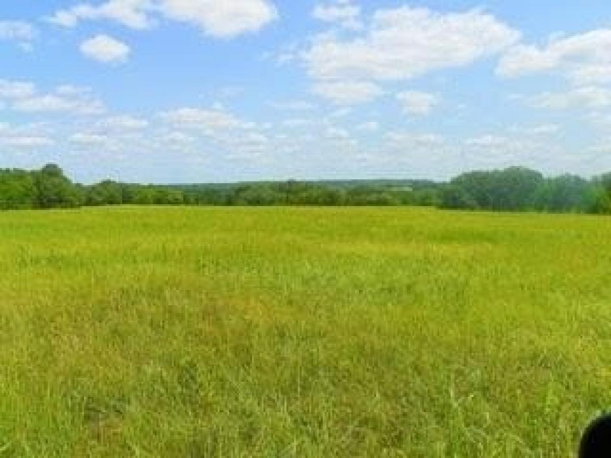 Picture of Residential Land For Sale in Mound City, Kansas, United States