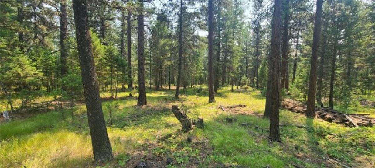 Picture of Residential Land For Sale in Kila, Montana, United States