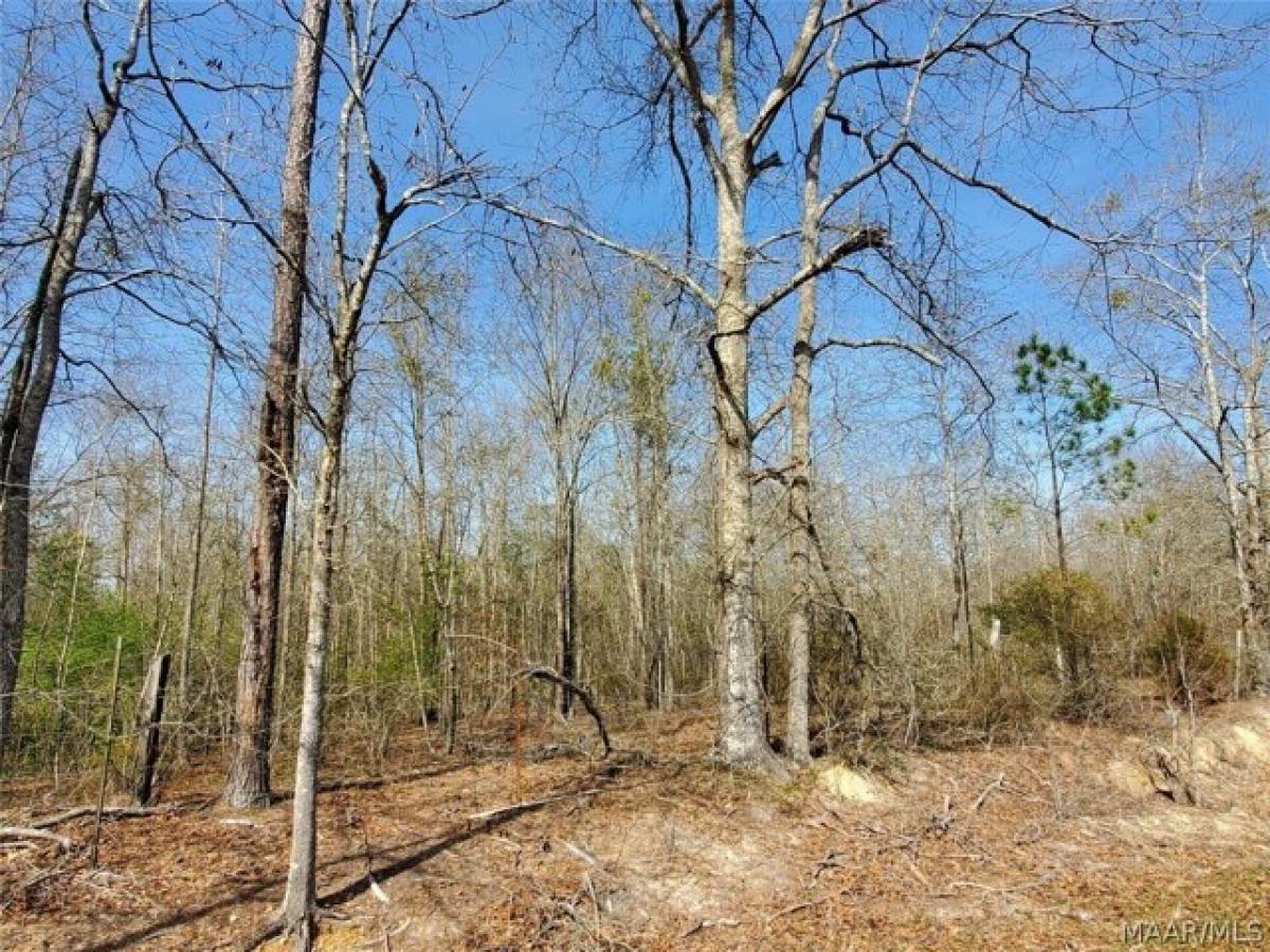 Picture of Residential Land For Sale in Wetumpka, Alabama, United States