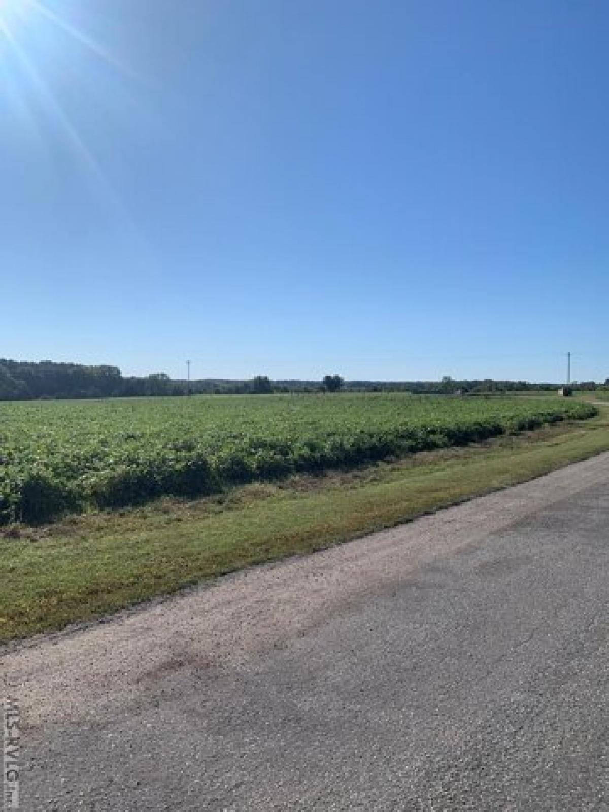 Picture of Residential Land For Sale in Boydton, Virginia, United States