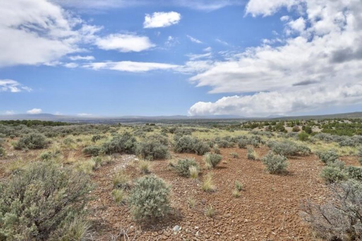 Picture of Residential Land For Sale in Arroyo Hondo, New Mexico, United States