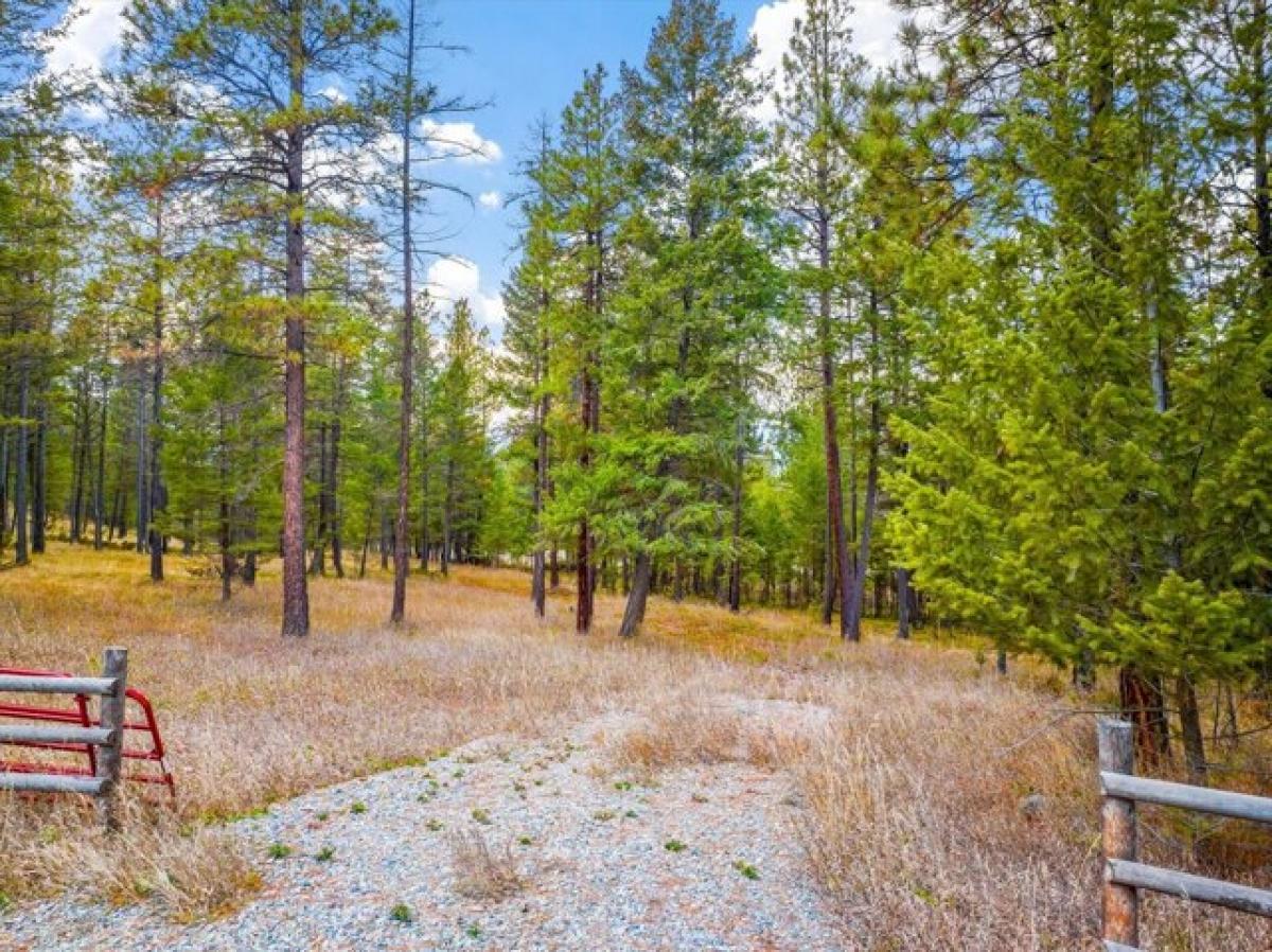 Picture of Residential Land For Sale in Rexford, Montana, United States