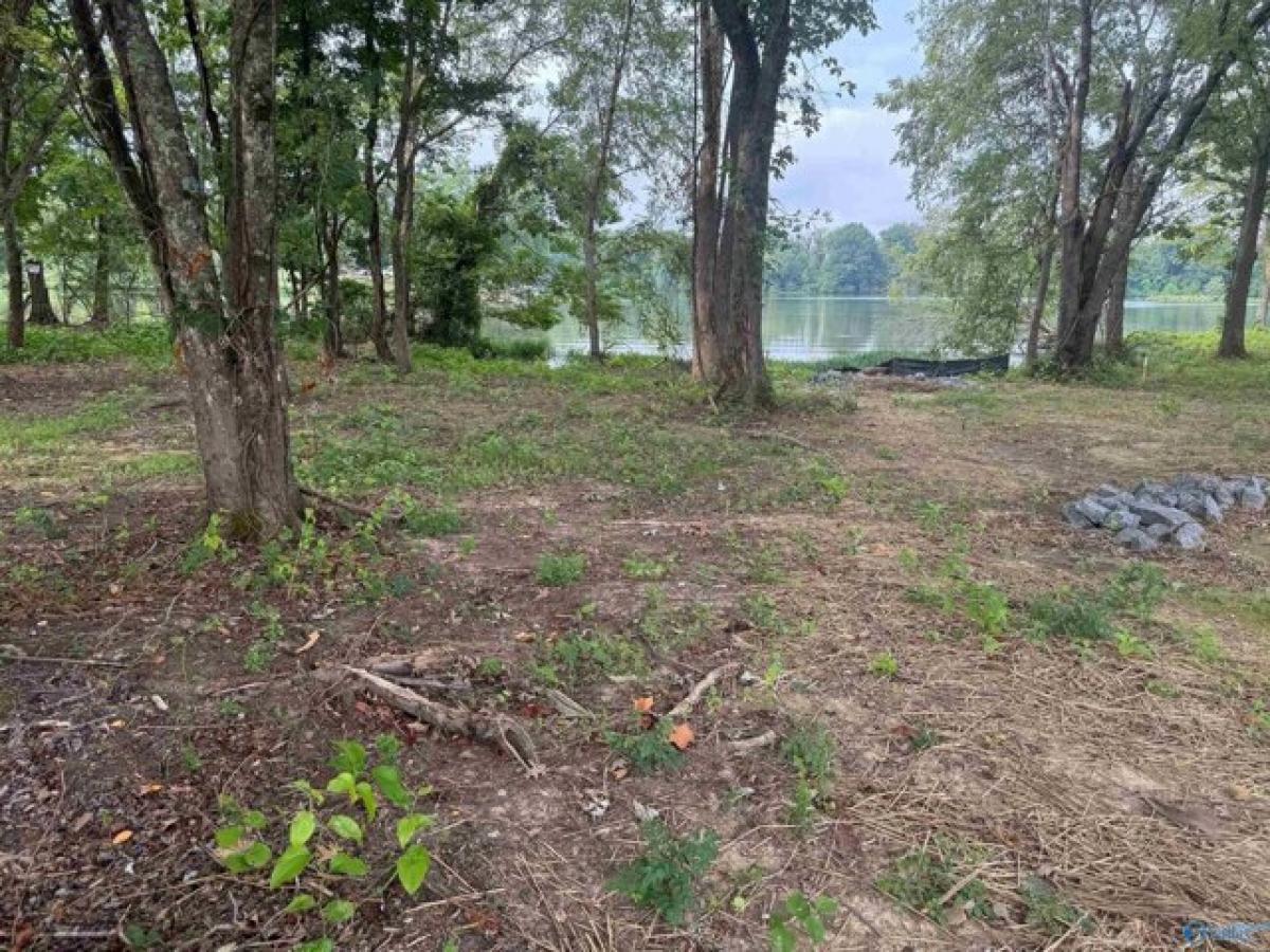 Picture of Residential Land For Sale in Cedar Bluff, Alabama, United States