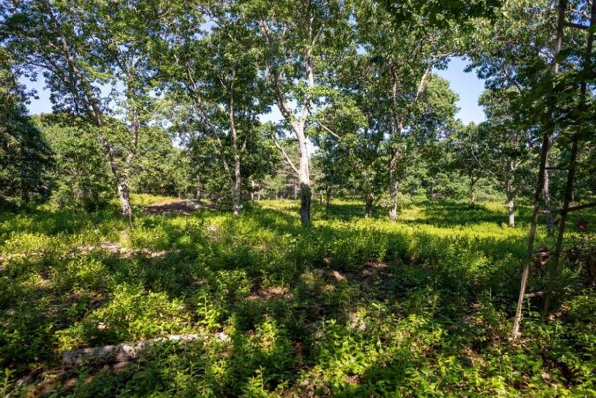 Picture of Residential Land For Sale in Chilmark, Massachusetts, United States