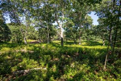 Residential Land For Sale in Chilmark, Massachusetts