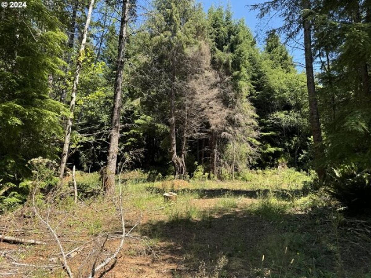 Picture of Residential Land For Sale in North Bend, Oregon, United States