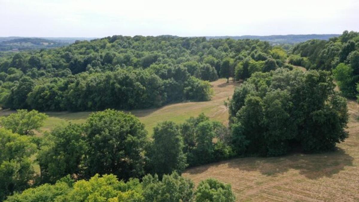 Picture of Residential Land For Sale in Cornersville, Tennessee, United States