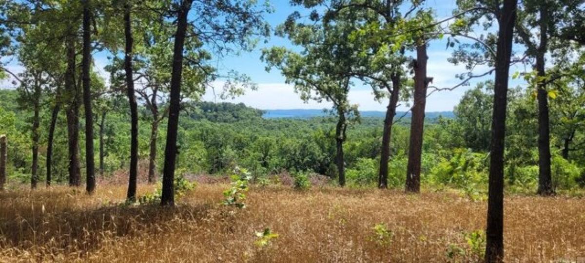 Picture of Residential Land For Sale in Henderson, Arkansas, United States