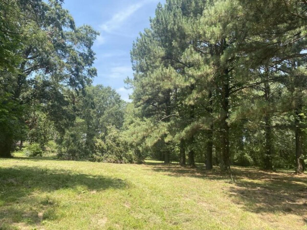 Picture of Residential Land For Sale in Russellville, Arkansas, United States