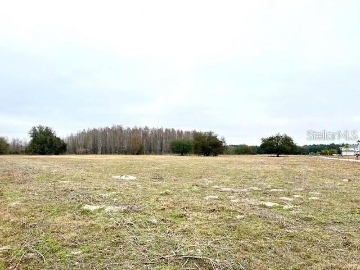 Picture of Residential Land For Sale in Land O Lakes, Florida, United States