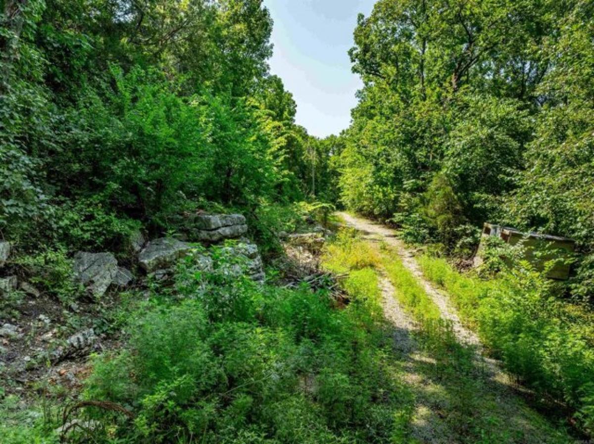 Picture of Home For Sale in Locust Grove, Arkansas, United States