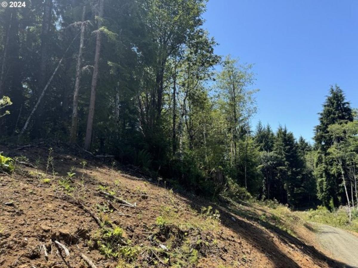 Picture of Residential Land For Sale in North Bend, Oregon, United States