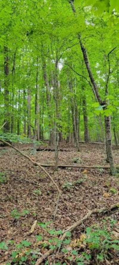 Residential Land For Sale in South Pittsburg, Tennessee