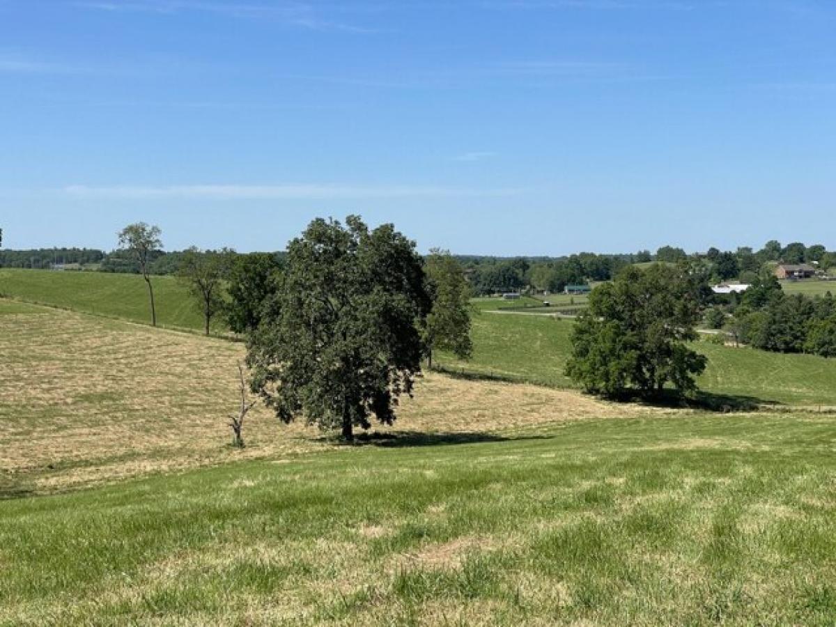 Picture of Residential Land For Sale in Cynthiana, Kentucky, United States