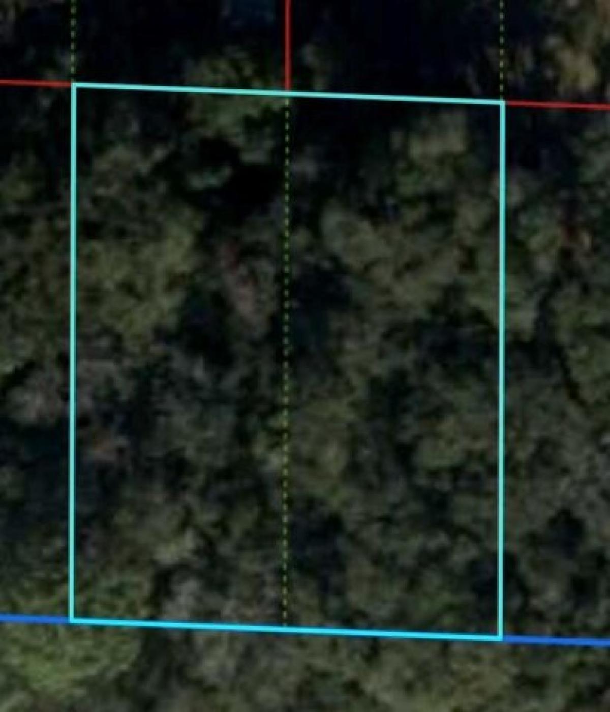 Picture of Residential Land For Sale in Williston, Florida, United States