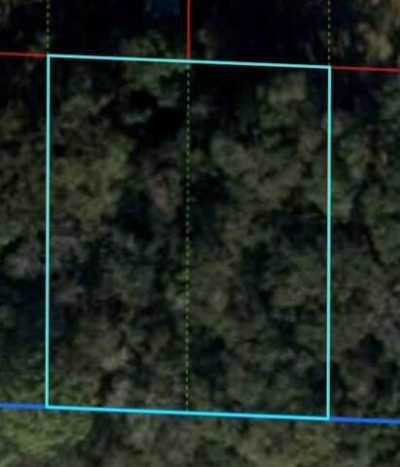 Residential Land For Sale in Williston, Florida