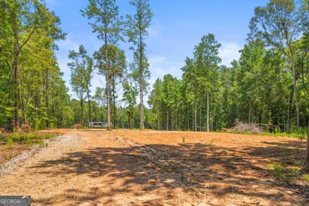 Picture of Residential Land For Sale in Zebulon, Georgia, United States