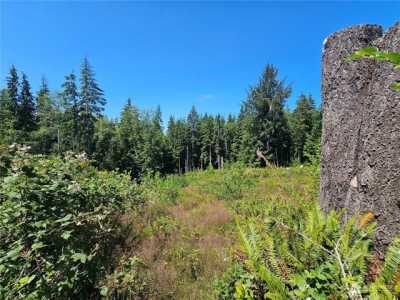 Residential Land For Sale in South Bend, Washington