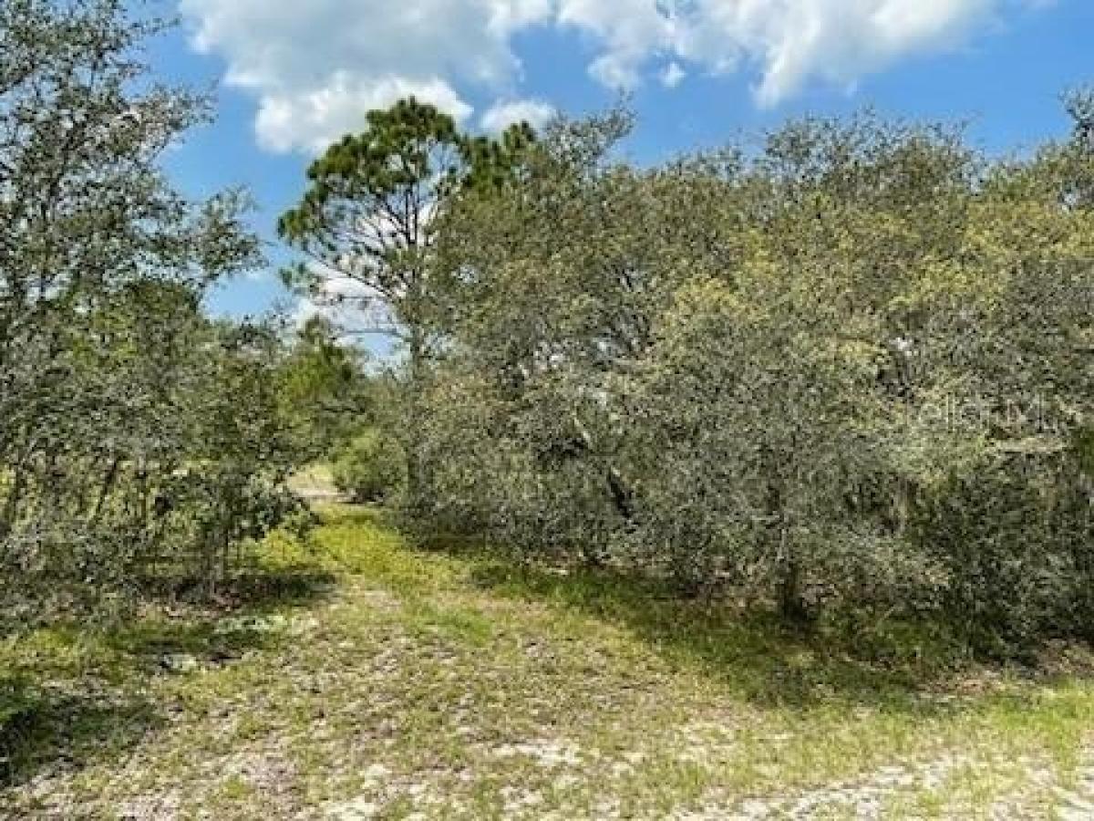 Picture of Residential Land For Sale in Poinciana, Florida, United States