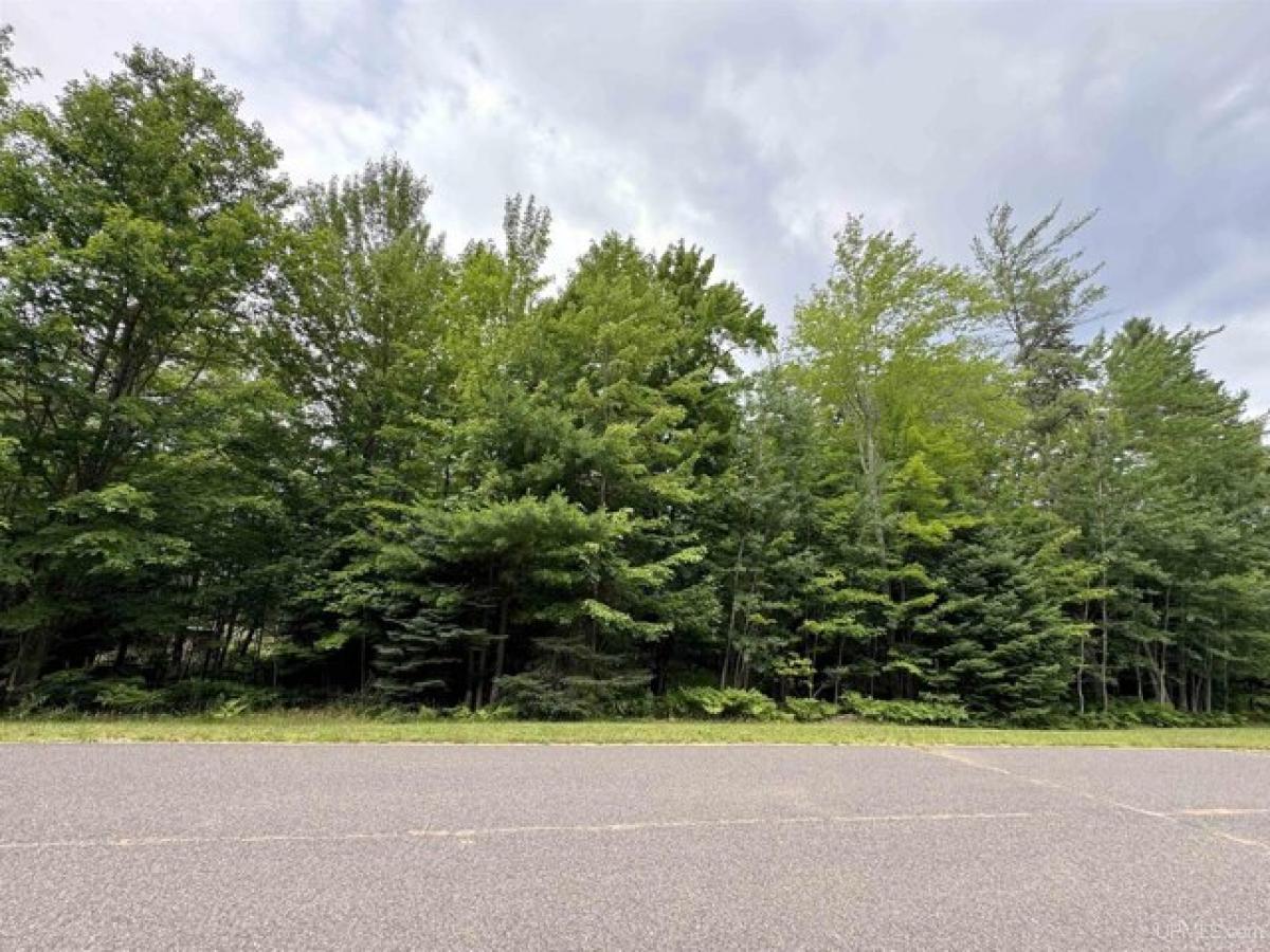 Picture of Residential Land For Sale in Marquette, Michigan, United States