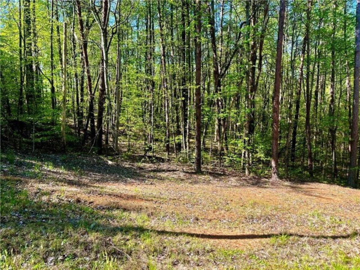 Picture of Residential Land For Sale in Westminster, South Carolina, United States