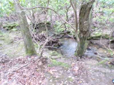 Residential Land For Sale in Spencer, Tennessee