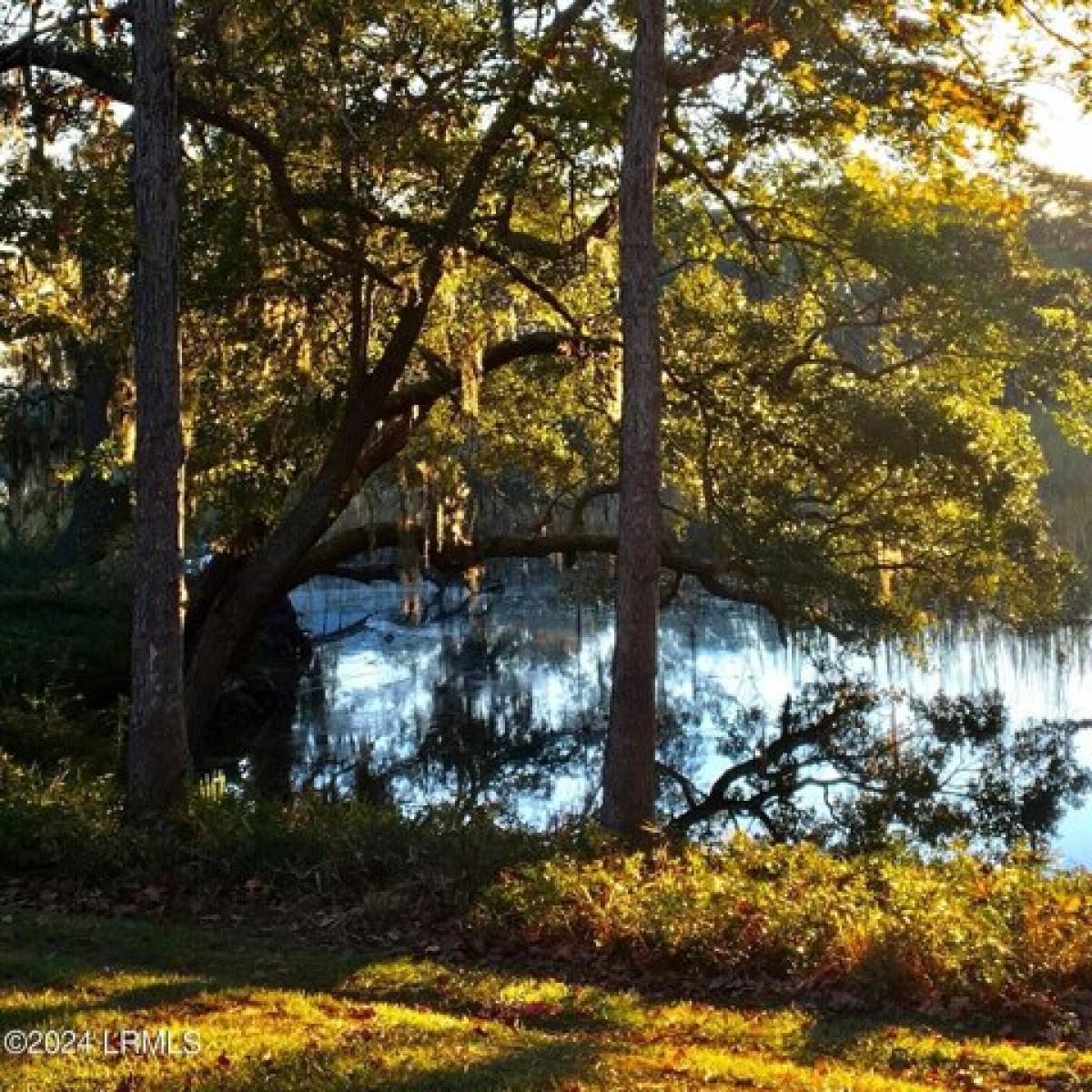 Picture of Residential Land For Sale in Beaufort, South Carolina, United States