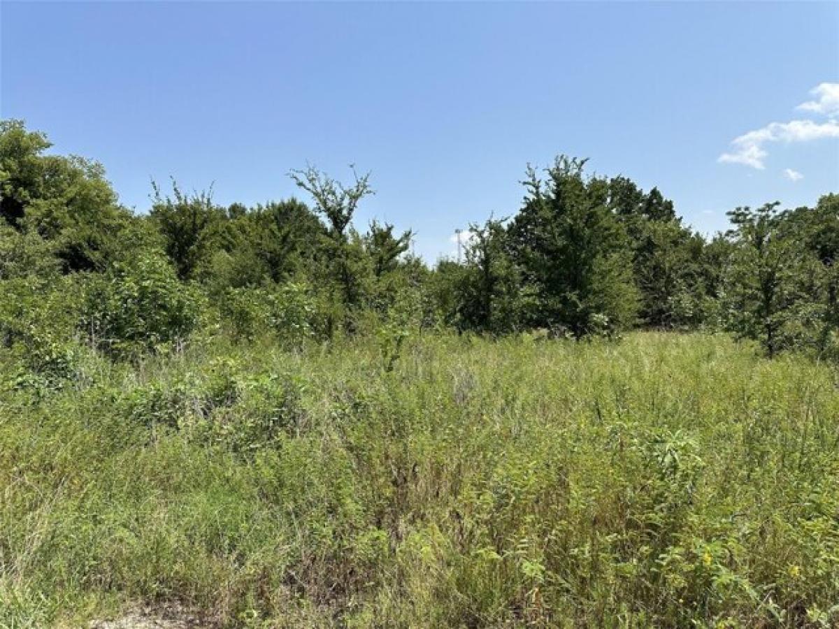 Picture of Residential Land For Sale in Wills Point, Texas, United States