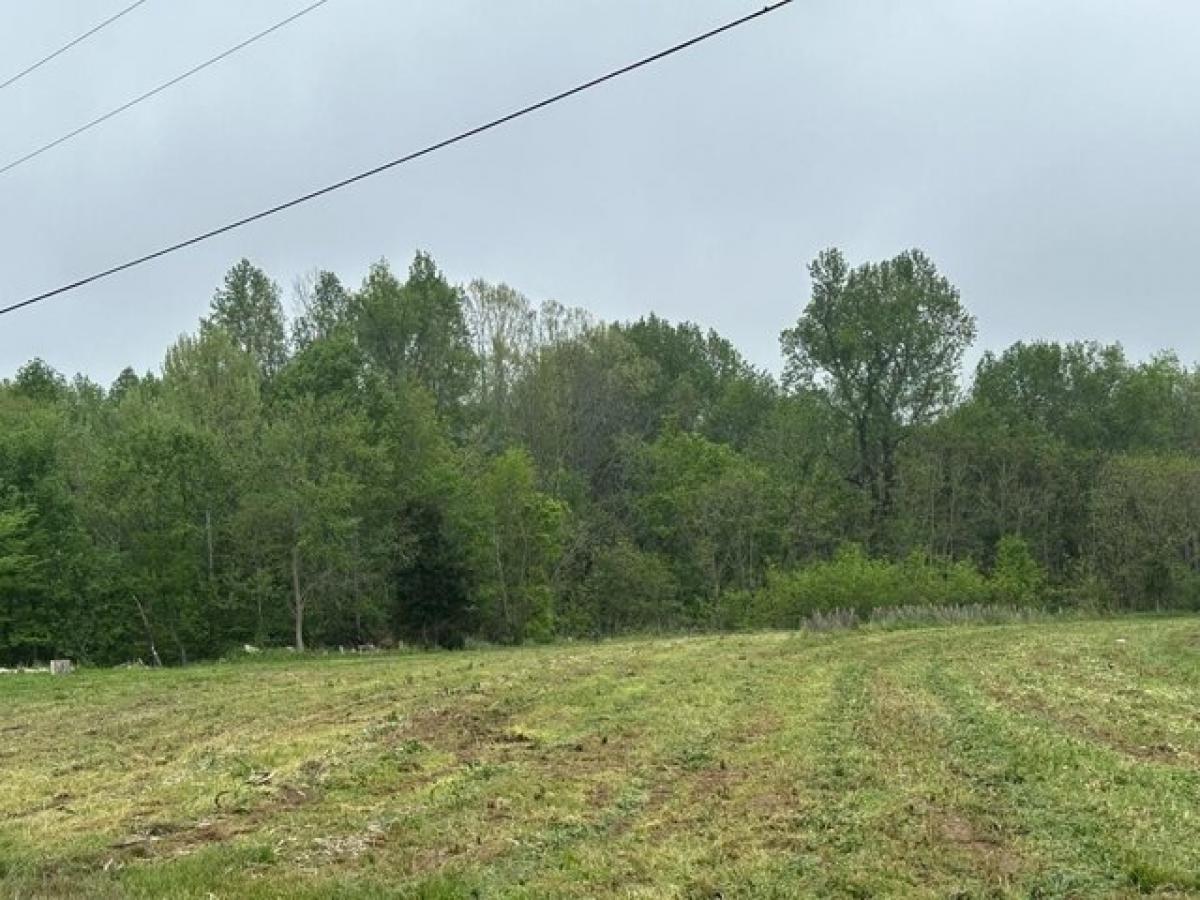 Picture of Residential Land For Sale in Gainesboro, Tennessee, United States