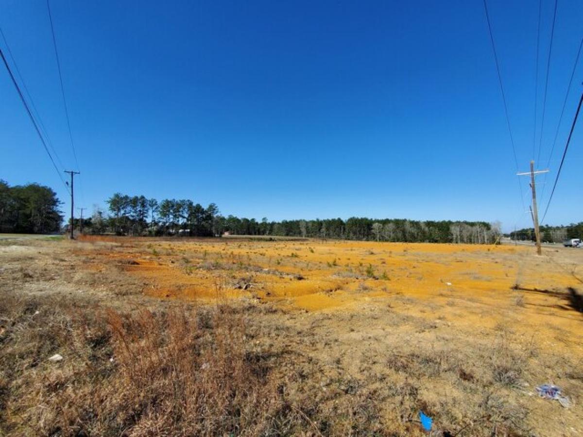 Picture of Residential Land For Sale in Deridder, Louisiana, United States