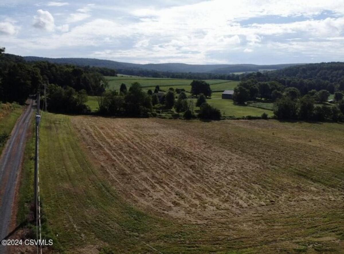 Picture of Residential Land For Sale in Catawissa, Pennsylvania, United States