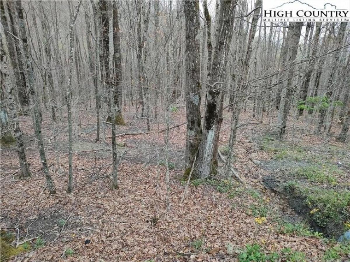 Picture of Residential Land For Sale in Beech Mountain, North Carolina, United States