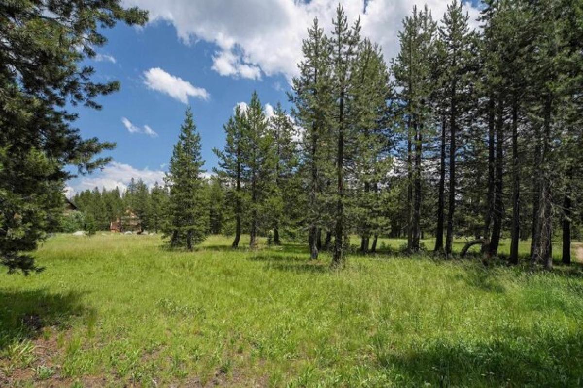 Picture of Residential Land For Sale in Soda Springs, California, United States