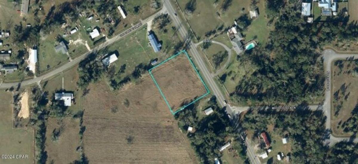 Picture of Residential Land For Sale in Wewahitchka, Florida, United States