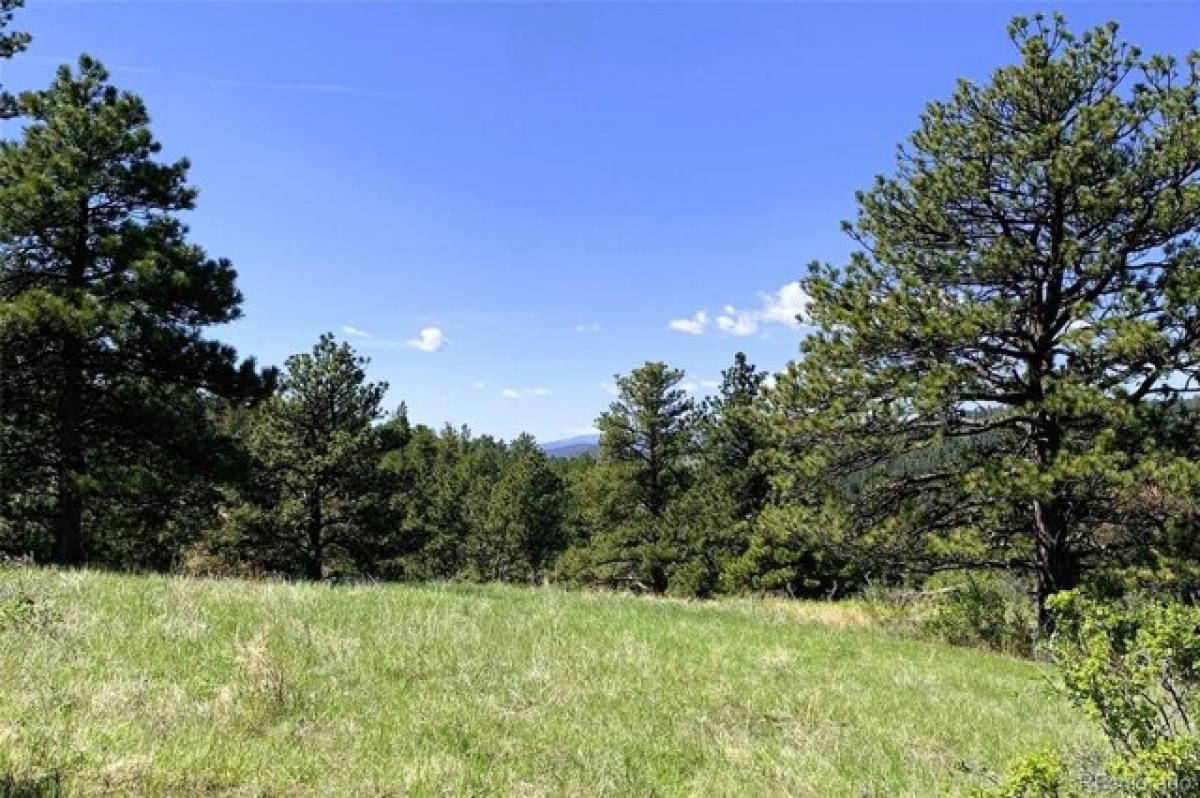 Picture of Residential Land For Sale in Golden, Colorado, United States