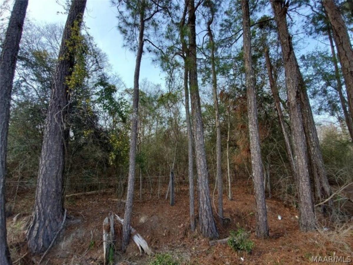 Picture of Residential Land For Sale in Wetumpka, Alabama, United States